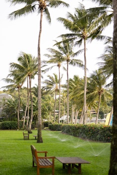 Hamilton Island, Beach Club