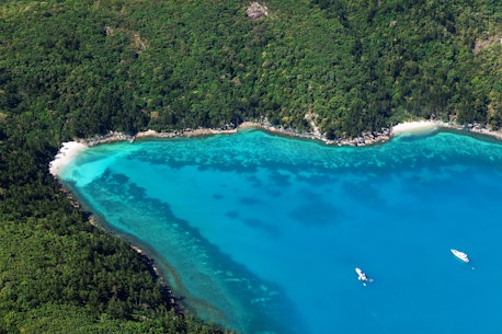 Enjoy spectacular bushwalks on your Hamilton Island vacation 