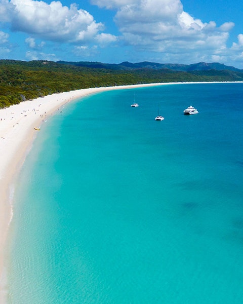 Get Cruise Whitsundays Whitehaven Beach Half Day Hamilton Island For Android Get Wallpaper Cruise Whitsundays Whitehaven Beach Half Day Hamilton Island Free