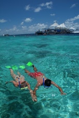 Snorkel at the Great Barrier Reef with a half-day or full-day trip from Hamilton Island