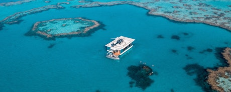 bungalows hamilton hamiltonisland accommodation