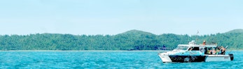 Try your hand at predator fishing - half day charter from Hamilton Island 