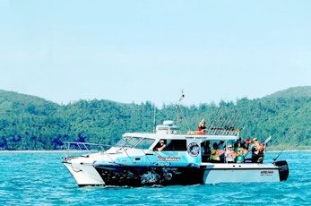 Try your hand at predator fishing - half day charter from Hamilton Island 