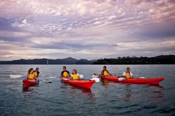 Discover the Whitsundays on a kayak - Holiday packages Hamilton Island 