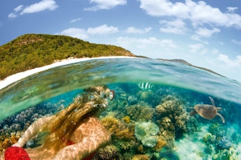 Encounter marine life snorkeling the Great Barrier Reef - Hamilton Island vacation