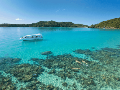 Hamilton Island Luxury Tours, Ocean Rafting