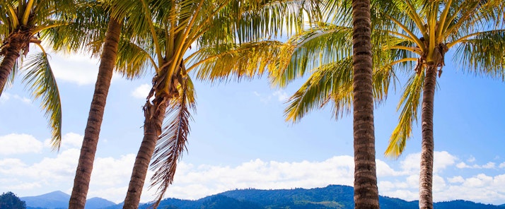 Looking for a Great Barrier Reef resort? Or Queensland resort deals? Hamilton Island offers a perfect getaway.