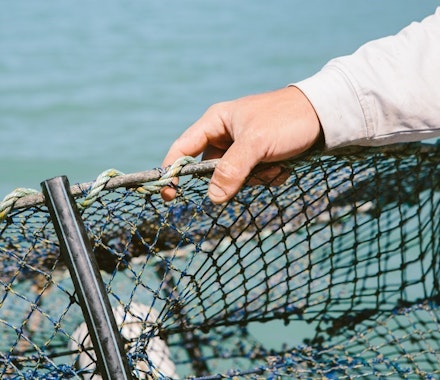 Hamilton Island fisherman holding a crab net 