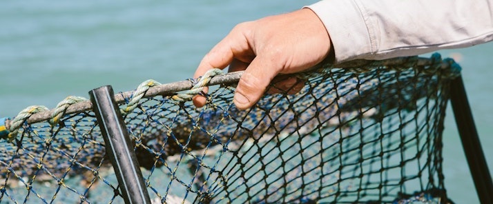 Hamilton Island fisherman holding a crab net 