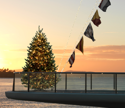 Christmas tree at hamilton island