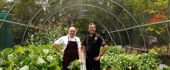 Hamilton Island’s veggie garden provides quality produce for the island’s Great Barrier Reef resort guests. Many Queensland hotels are now following suit.