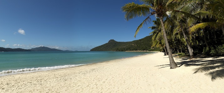 Enjoy an exotic, tropical summer holiday on the luxury Australian destination Hamilton Island