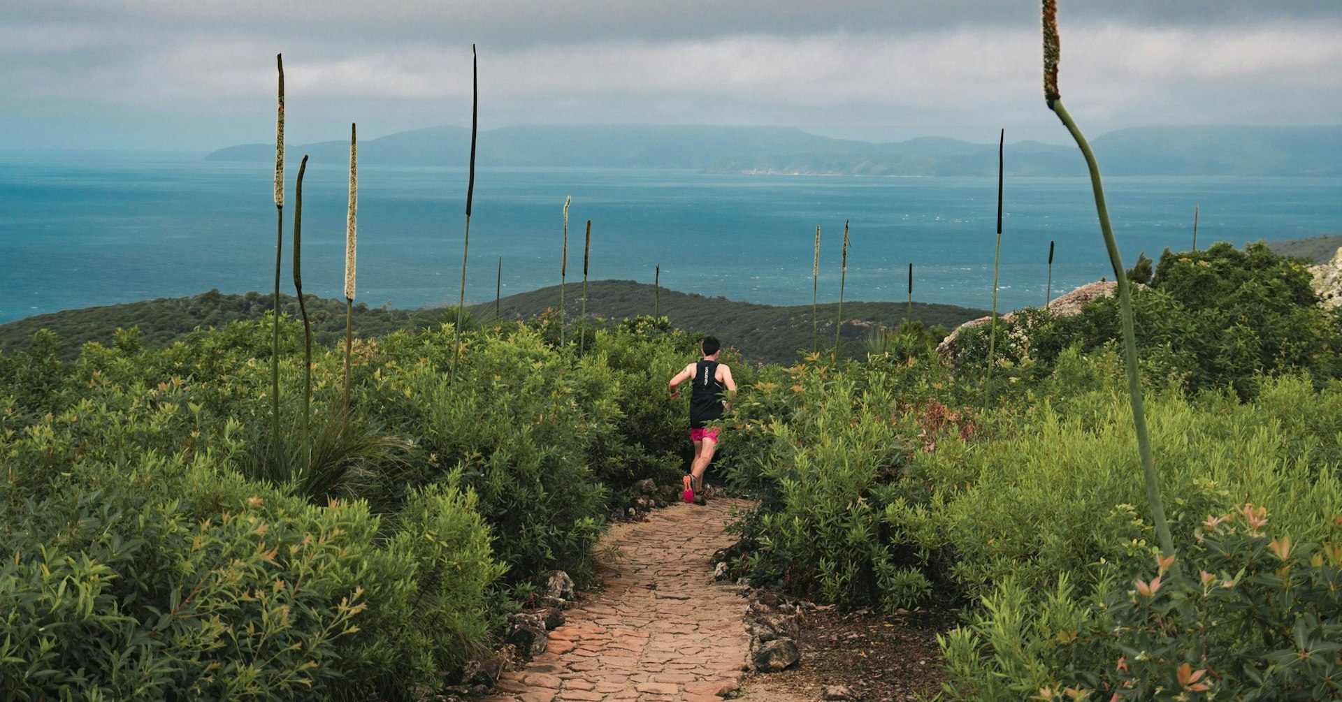 Hamilton Island Hilly Half Marathon, Hamilton Island