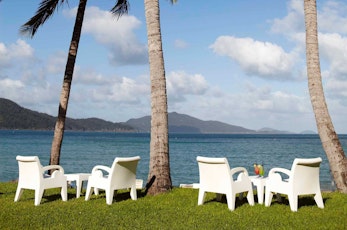 Relax under the palm trees on the beach - honeymoon Hamilton Island 