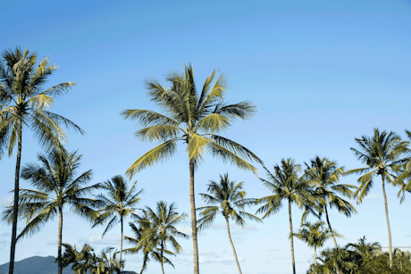 Hamilton Island, A Little Island Can Do Wonders