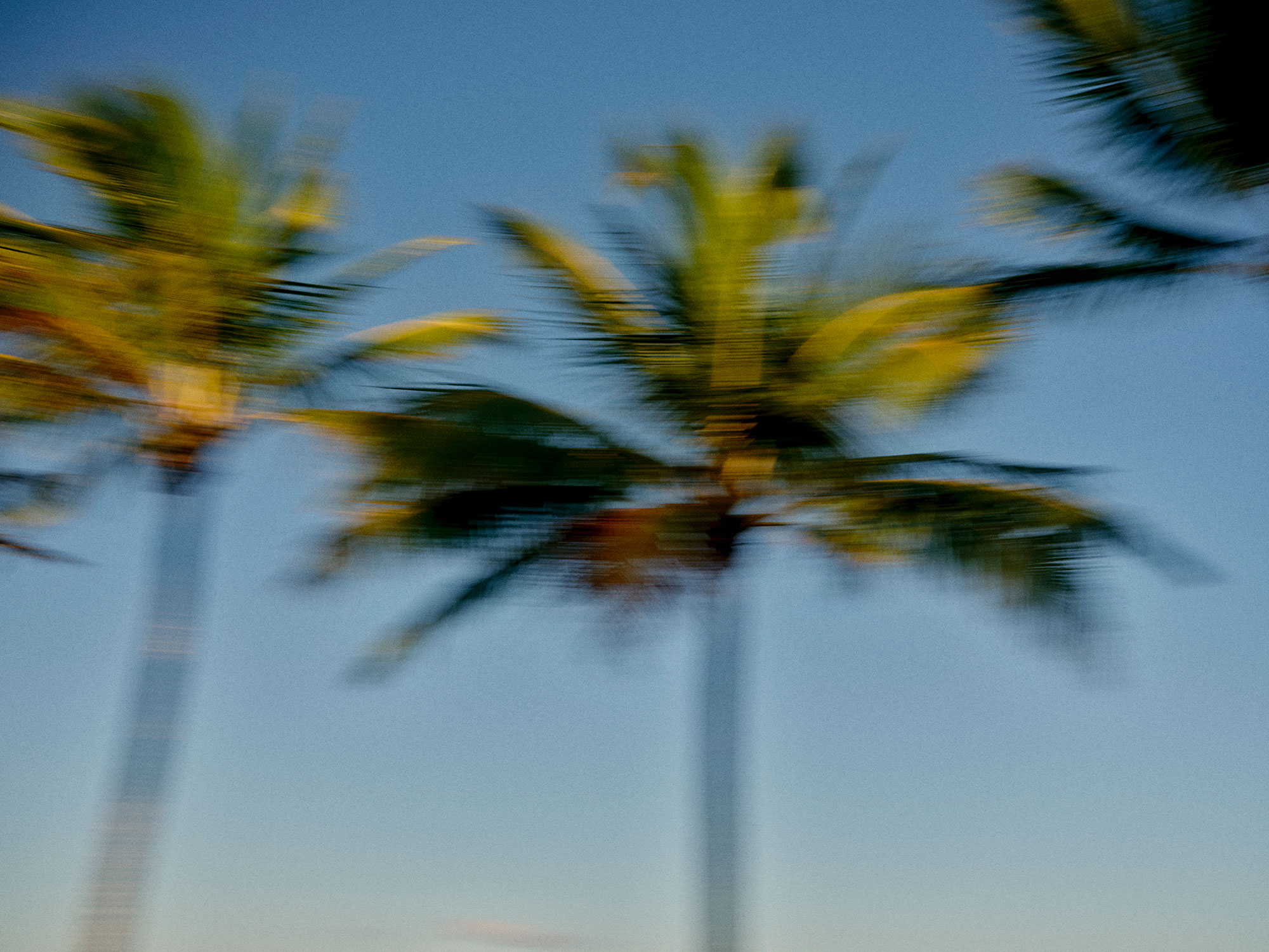 Hamilton Island, Australia's tropical Island