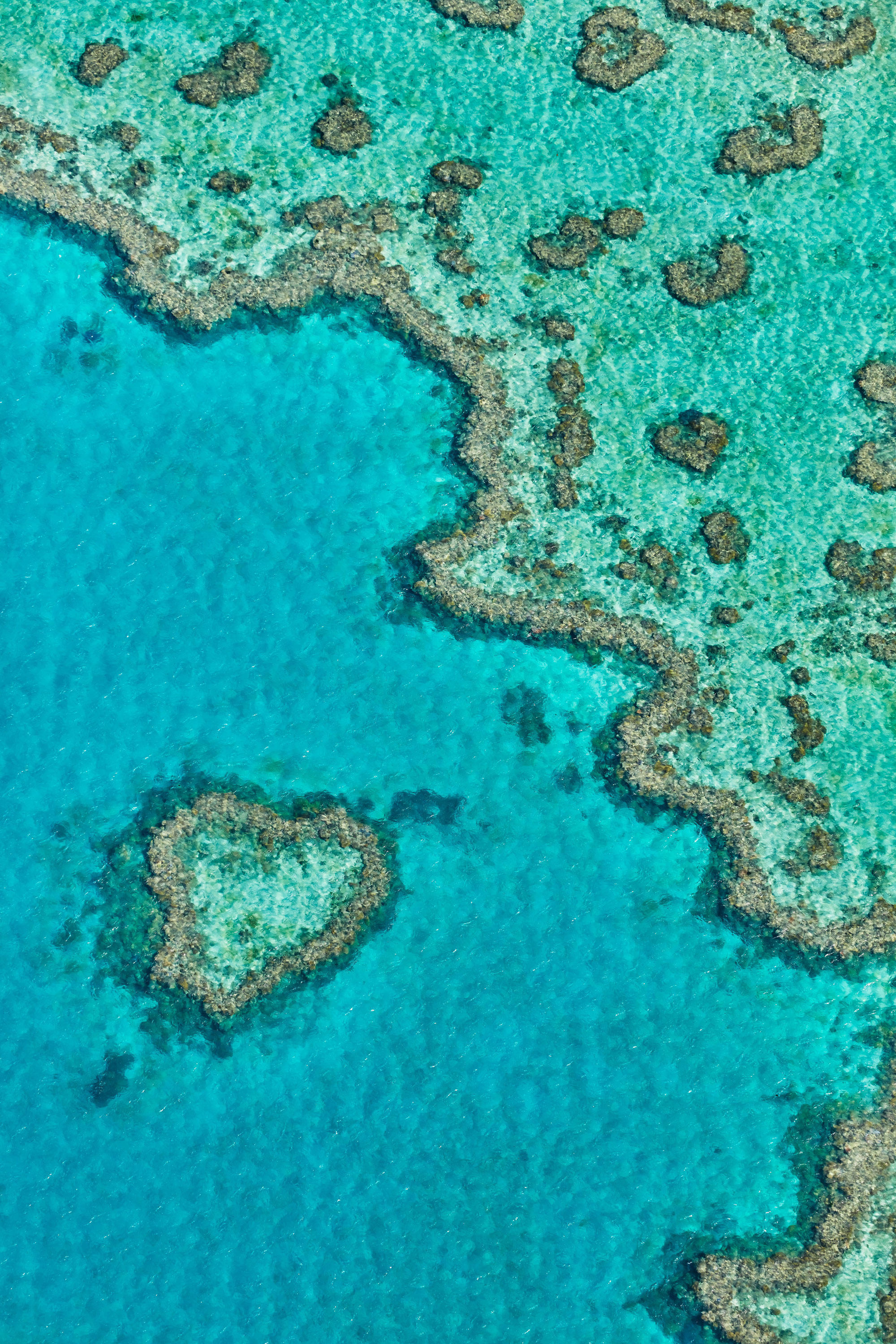 Explore the Heart Reef in the Great Barrier Reef by air - Hamilton Island vacations