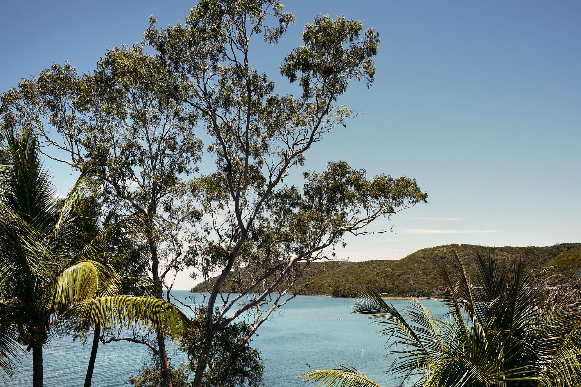 View to Passage Peak on Hamilton Island in the Heart of the Great Barrier Reef.