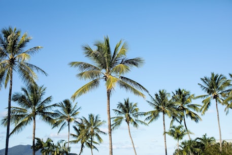 The Sundays Hamilton Island Luxury Resort