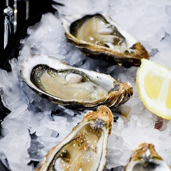 Oysters at The Sundays restaurant - A new boutique hotel for families on Hamilton Island in the heart of the Whitsundays and the Great Barrier Reef.